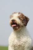 LAGOTTO 149